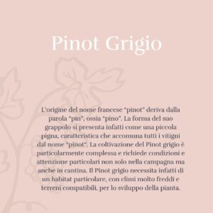 Pinot Grigio